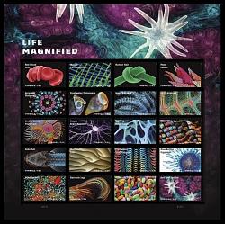 # Life Magnified, Souvenir Sheet of Twenty Stamps