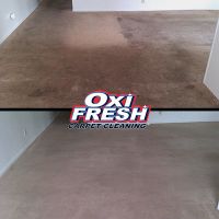 carpet washing minneapolis Oxi Fresh Carpet Cleaning