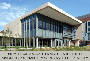 centers to study radiology in minneapolis Center for Magnetic Resonance Research