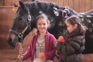 horse riding schools minneapolis Skyrock Farm