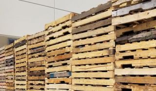 Learn More About New Pallets