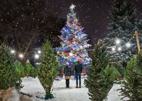 christmas lots in minneapolis Nativity Men's Club Christmas Tree Lot