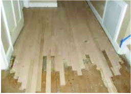 floor polishing minneapolis DB Floor Sanding, Inc