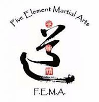 police self defence classes minneapolis Five Element Martial Arts and Healing Center