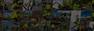 demolition companies minneapolis Sorenson Companies, LLC