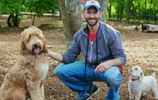 canine trainers minneapolis Your Dog's Best Friend