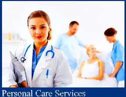 domestic helpers minneapolis Independent Home Care Agency