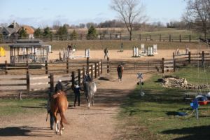 horse riding in minneapolis Skyrock Farm