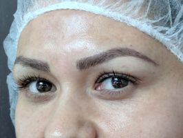 micropigmentation clinics in minneapolis Permanent Makeup Arts