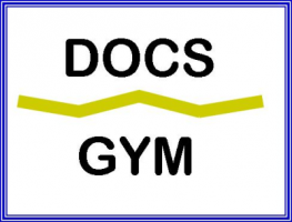 gimnasios artes marciales minneapolis DOCS Gym