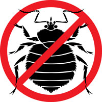 pest control bedbugs minneapolis Bed Bug Guys