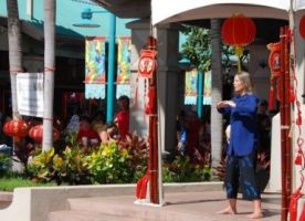 chi kung lessons minneapolis Tilopa Tai Chi Qigong Center