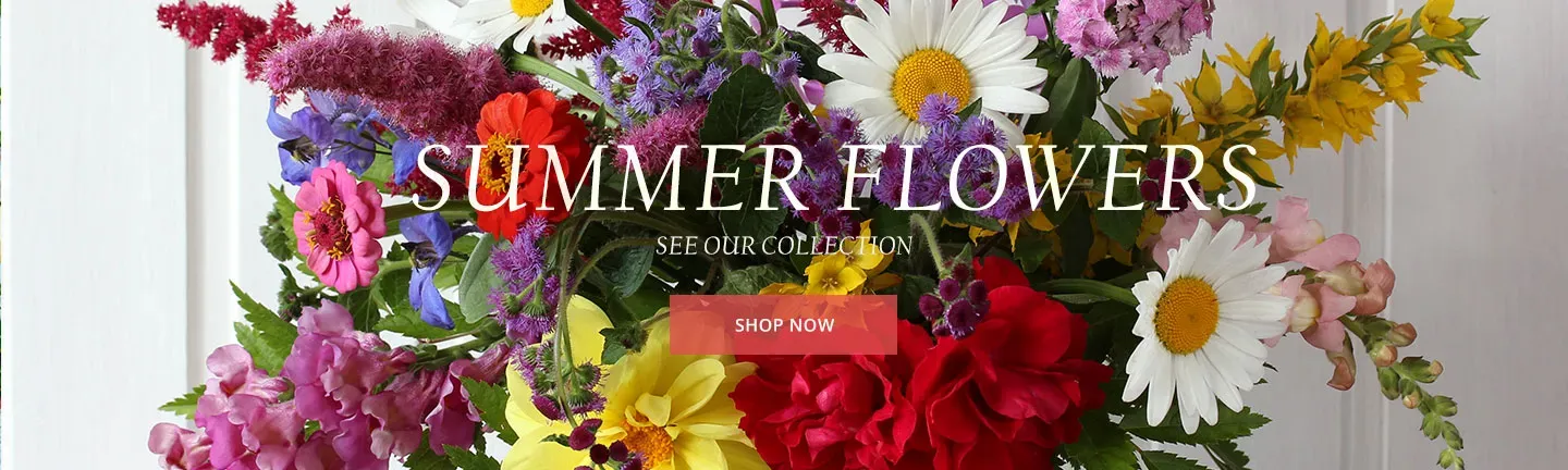 cheap flower shops in minneapolis Maz-In Flowers