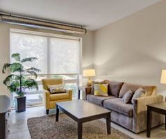 pet friendly apartments in minneapolis 7West Apartment Homes