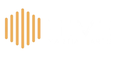 ninjutsu lessons minneapolis Hive Martial Arts