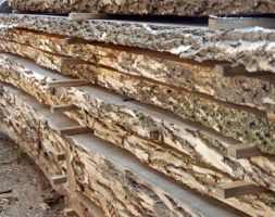 Urban Lumber, Live Edge Slabs, & Sustainable Hardwood Flooring