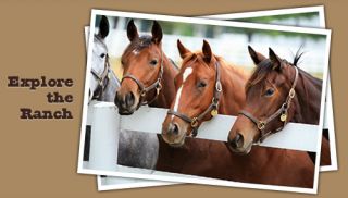 horse riding courses minneapolis Horseplay Ranch