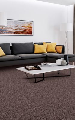 Shop for carpet in Apple Valley, MN from Galaxie Floor Stores