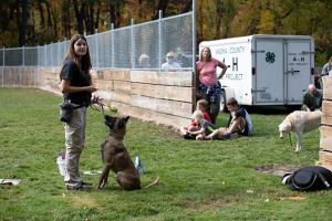 canine trainers minneapolis K9SF Dog Training